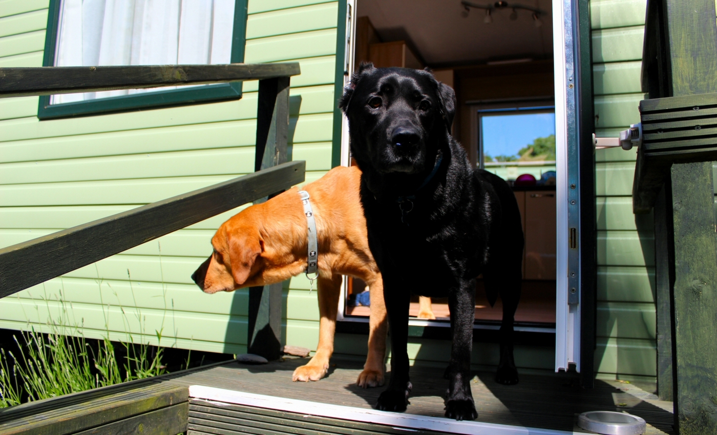 * Tynllwyn Caravan Park, Rhydyronen (by AJW) *