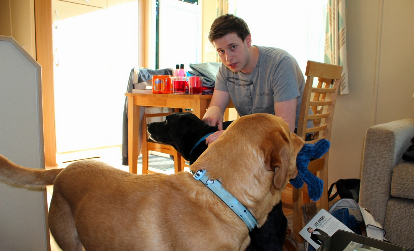* Tynllwyn Caravan Park, Rhydyronen (by AJW) *