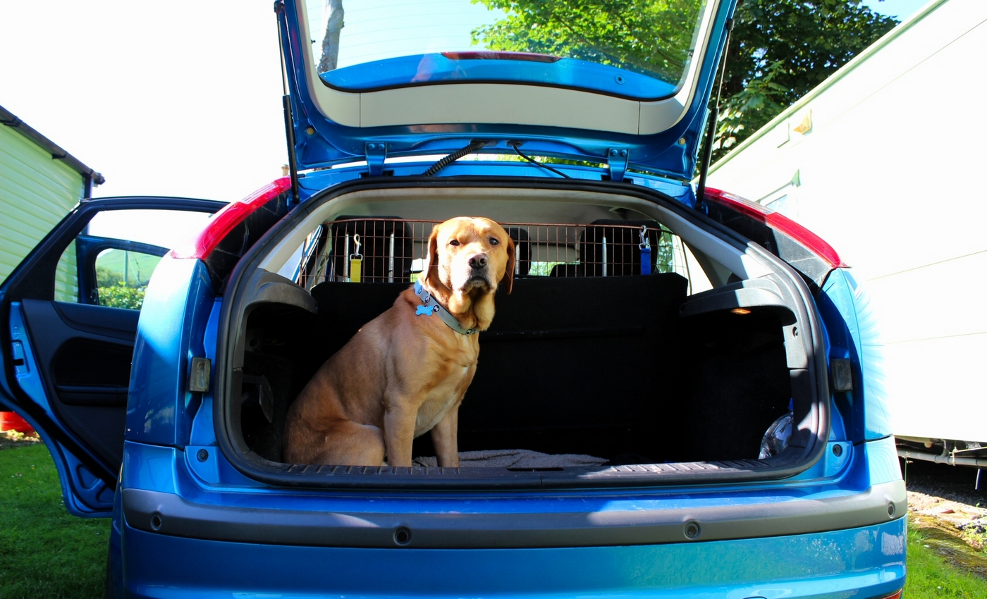 * Tynllwyn Caravan Park, Rhydyronen (by AJW) *