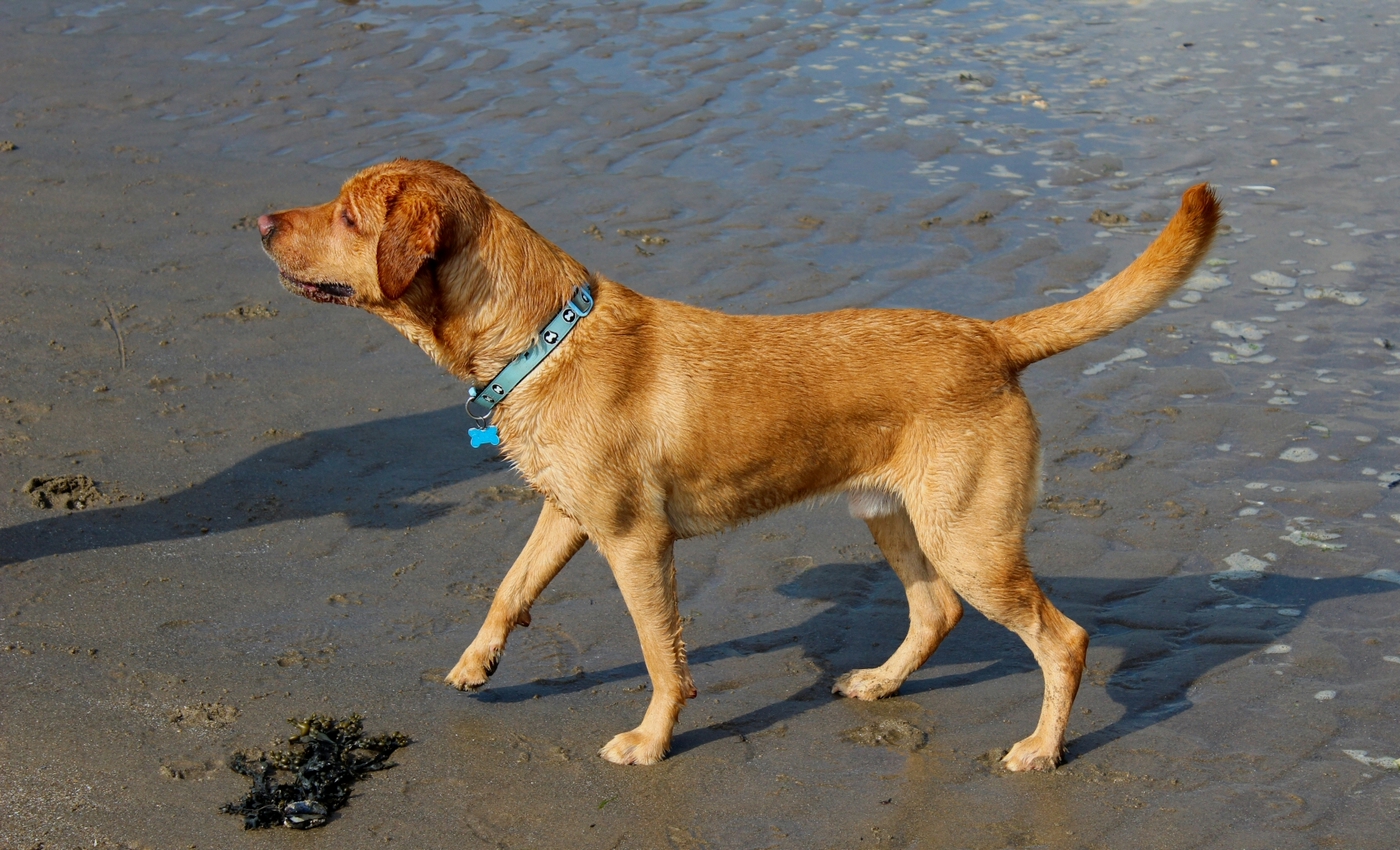 * Barmouth (by AJW) *