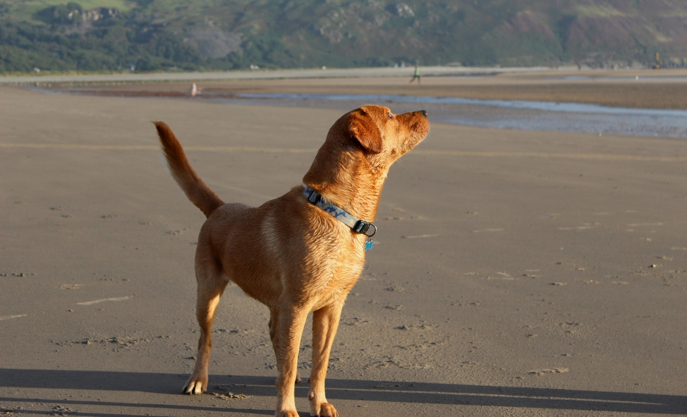 * Barmouth (by AJW) *