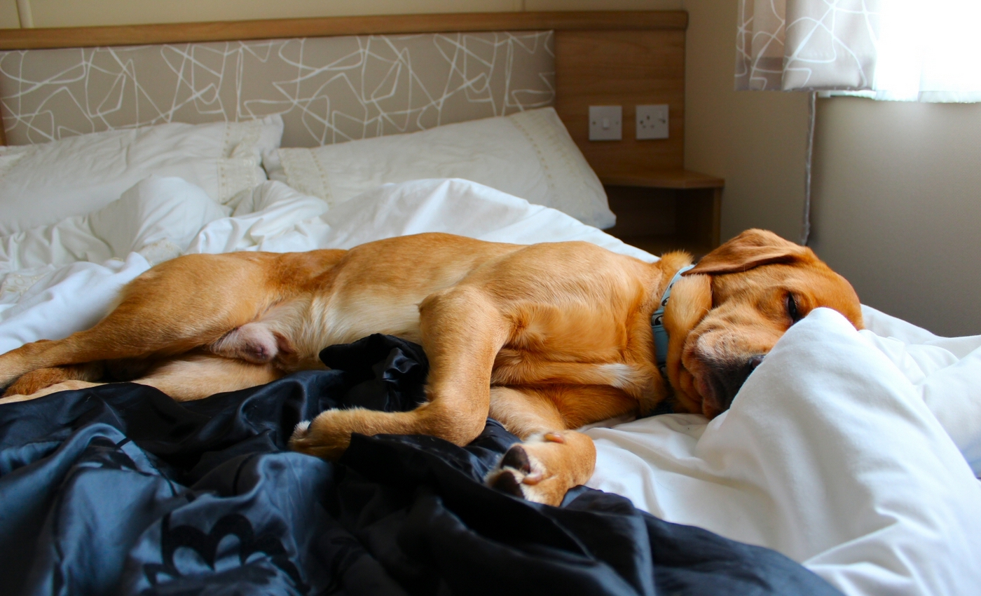 * Tynllwyn Caravan Park, Rhydyronen (by AJW) *
