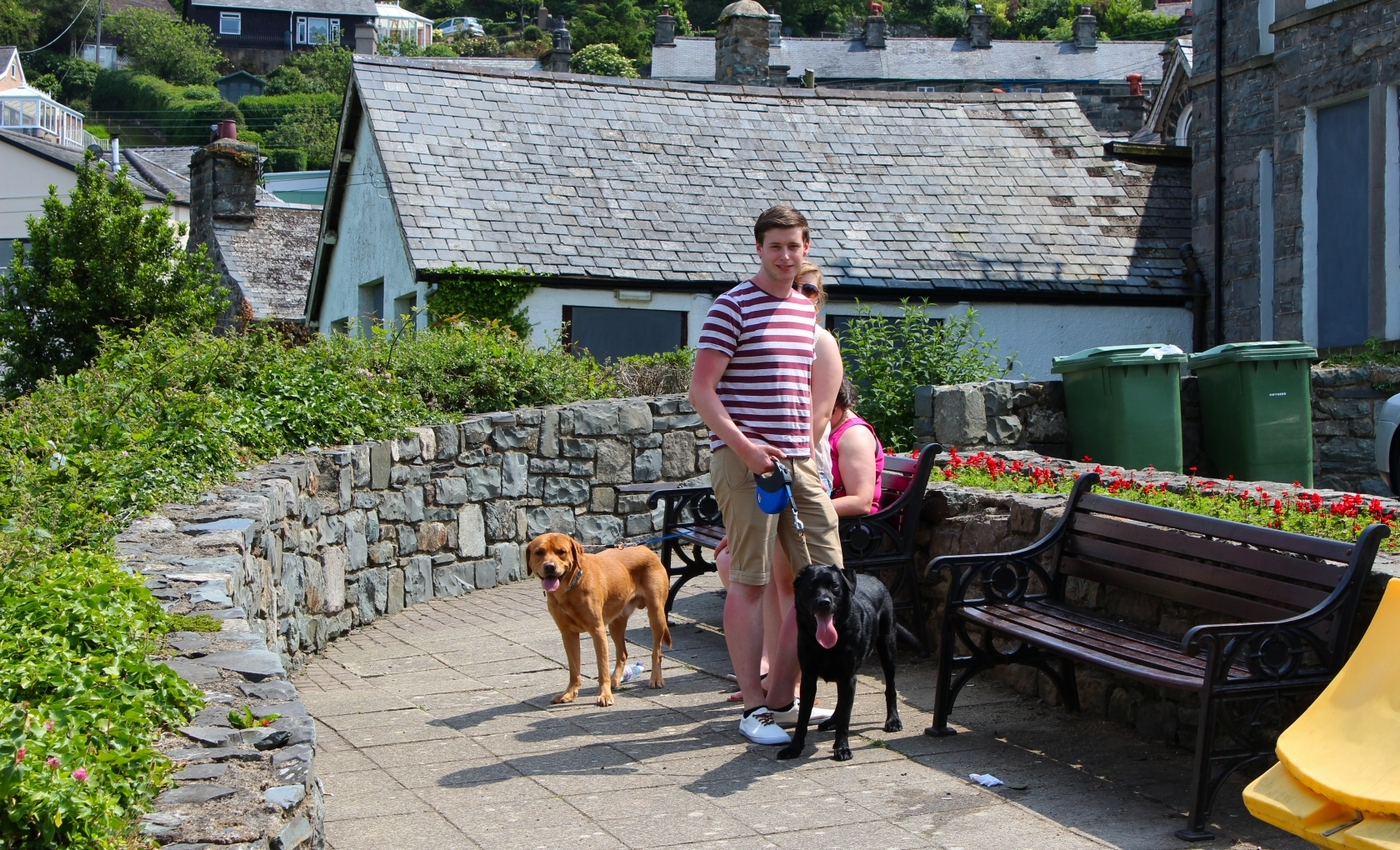 * Harlech Castle (by AJW) *