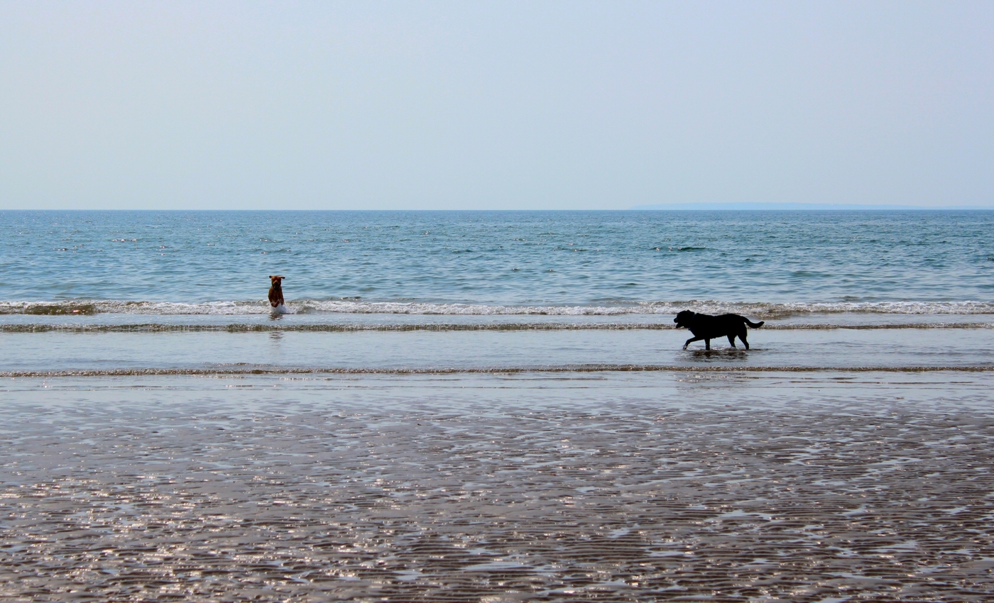 * Morfa Harlech (by AJW) *
