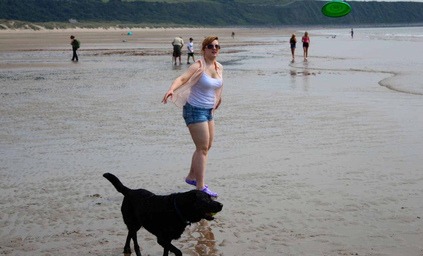 * Morfa Harlech (by AJW) *