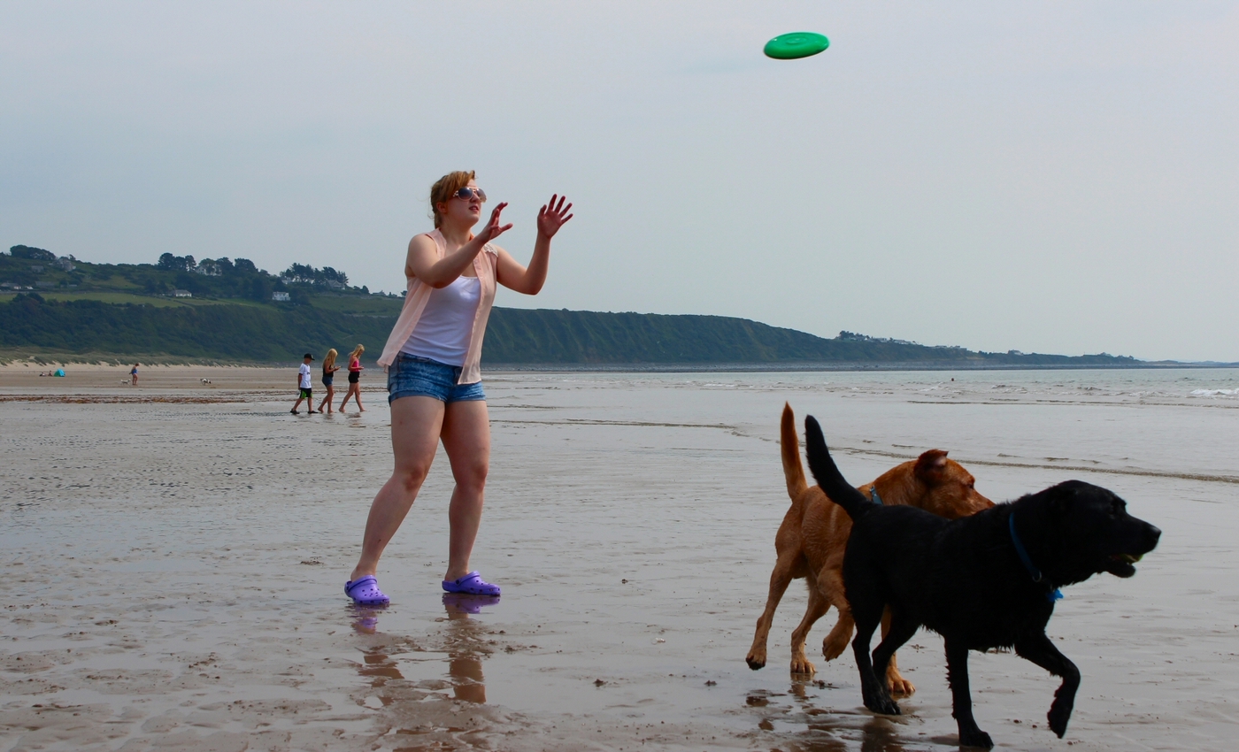 * Morfa Harlech (by AJW) *