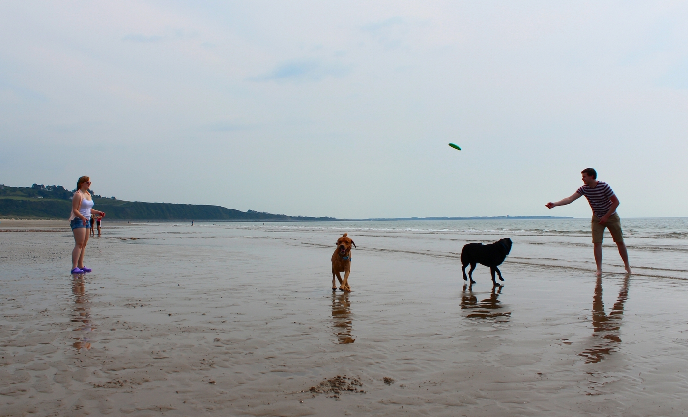 * Morfa Harlech (by AJW) *
