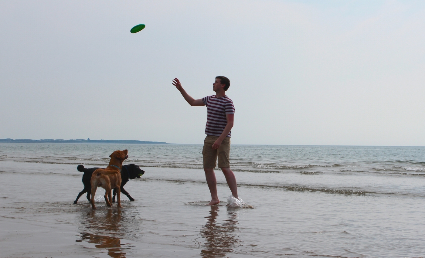 * Morfa Harlech (by AJW) *