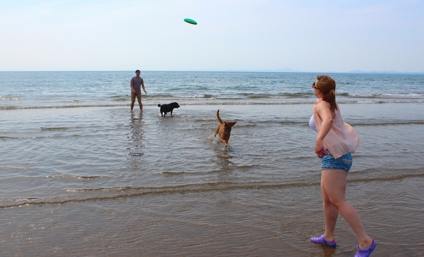 * Morfa Harlech (by AJW) *
