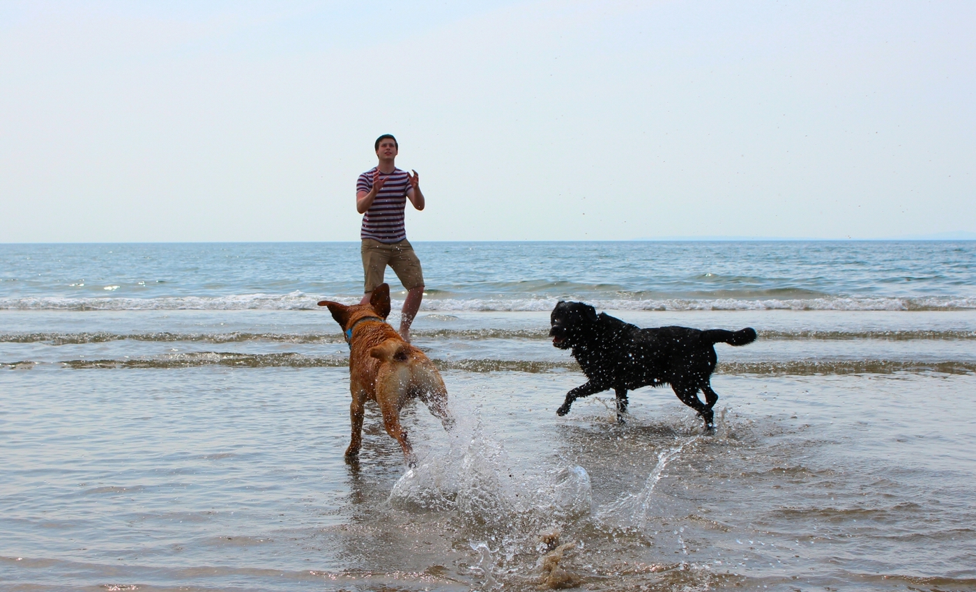 * Morfa Harlech (by AJW) *