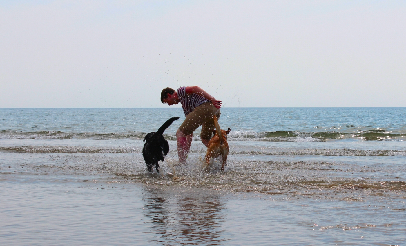 * Morfa Harlech (by AJW) *