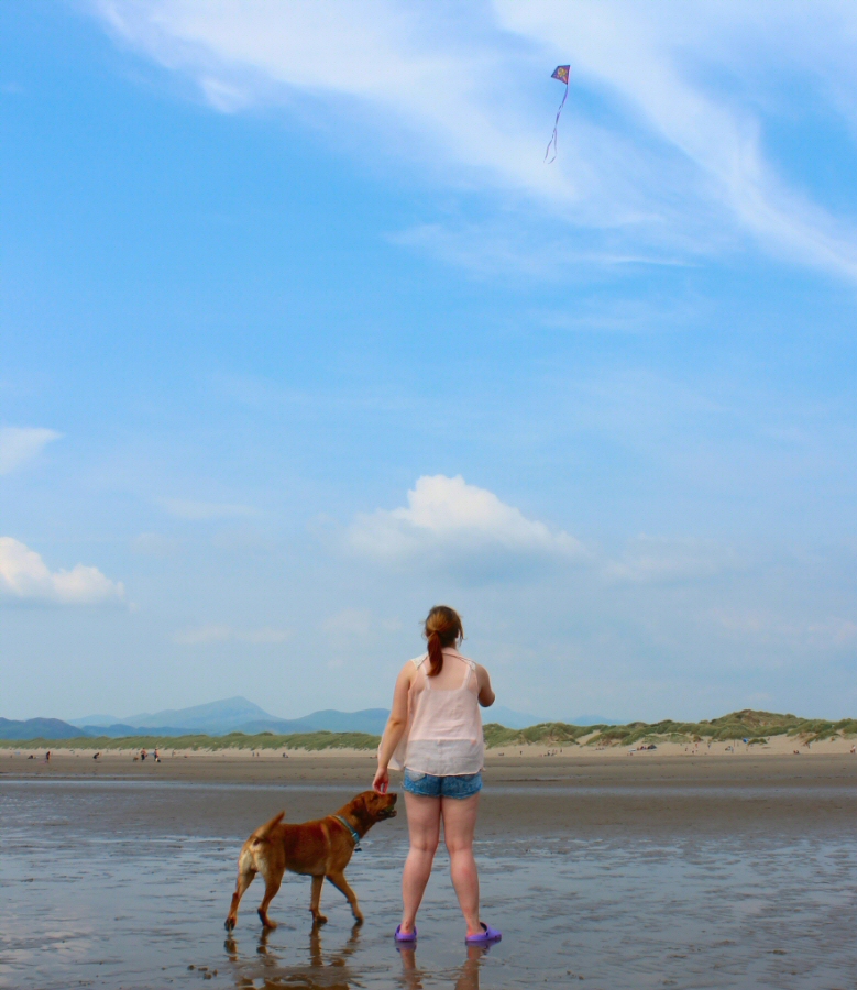 * Morfa Harlech (by AJW) *
