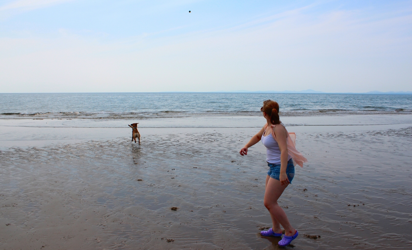 * Morfa Harlech (by AJW) *