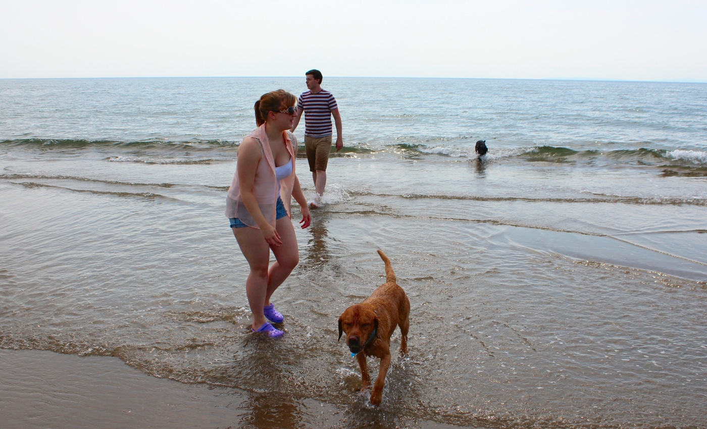 * Morfa Harlech (by AJW) *