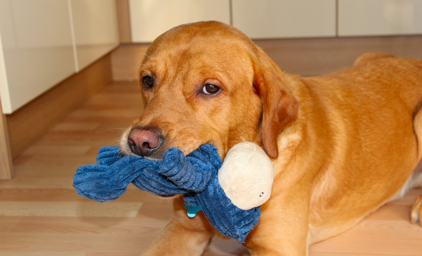 * Tynllwyn Caravan Park, Rhydyronen (by AJW) *