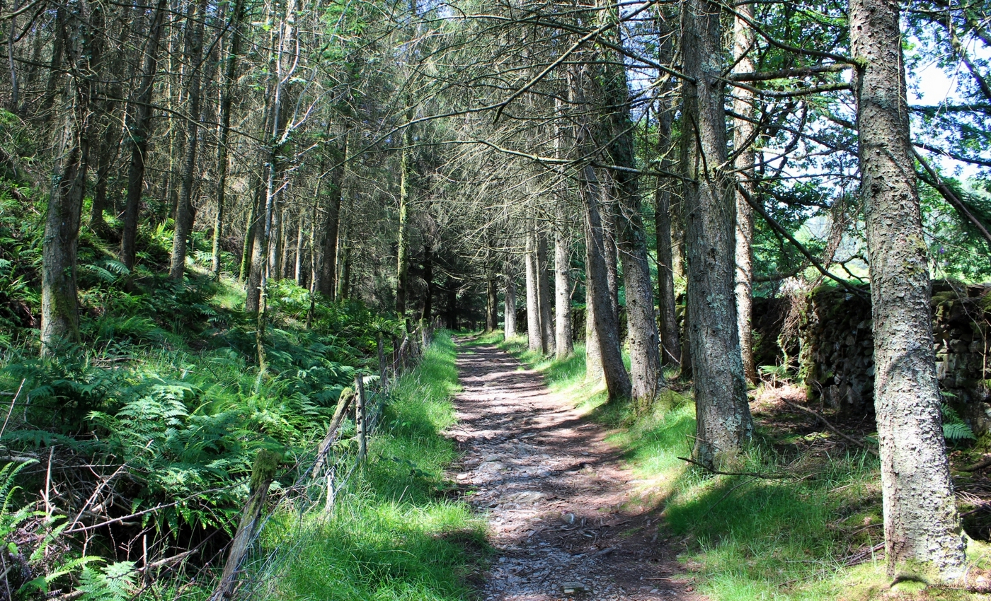 * Tan-y-Bwlch, Ffestiniog Railway (by AJW) *