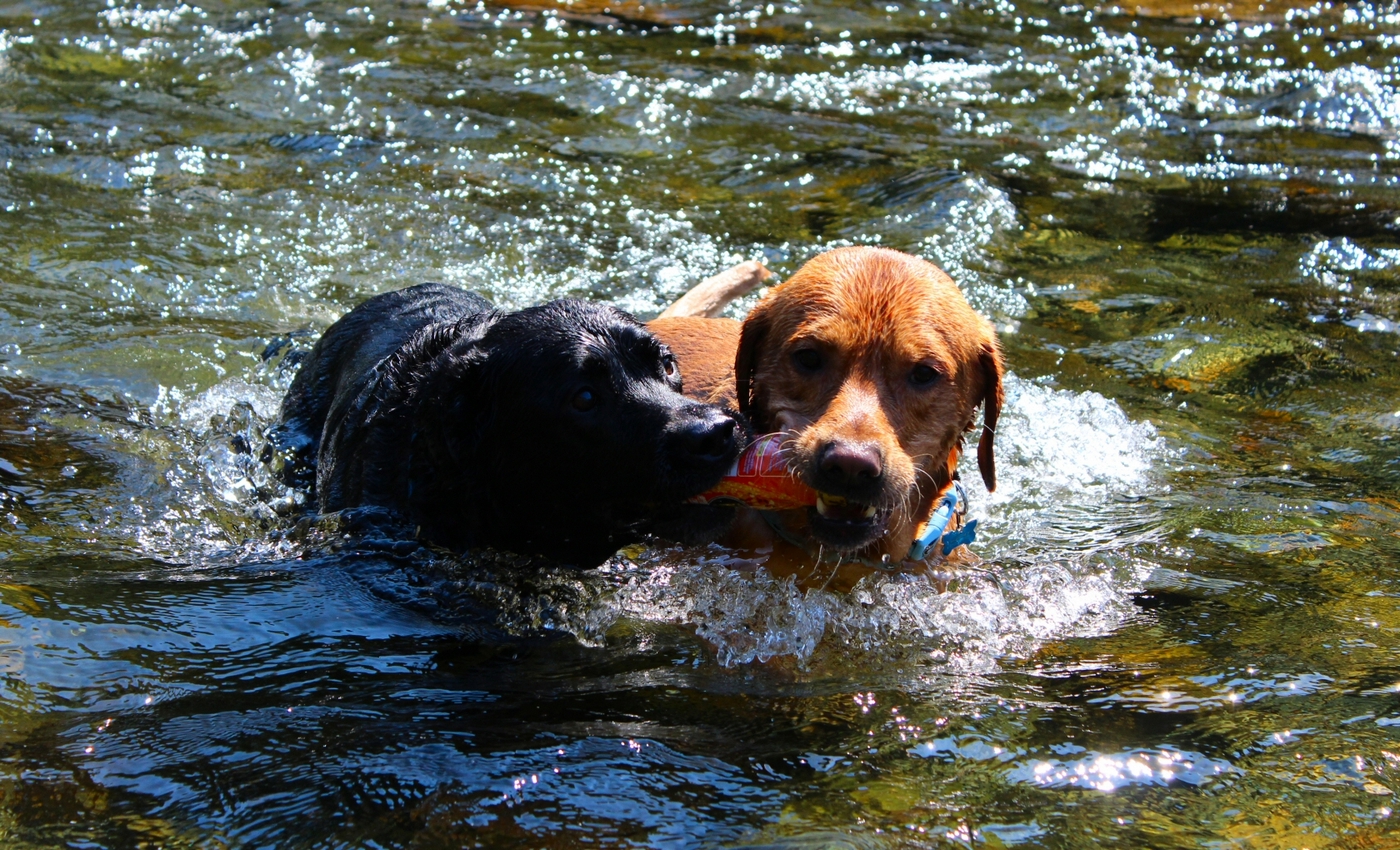 * Beddgelert - Afon Glaslyn - Aberglaslyn (by AJW) *