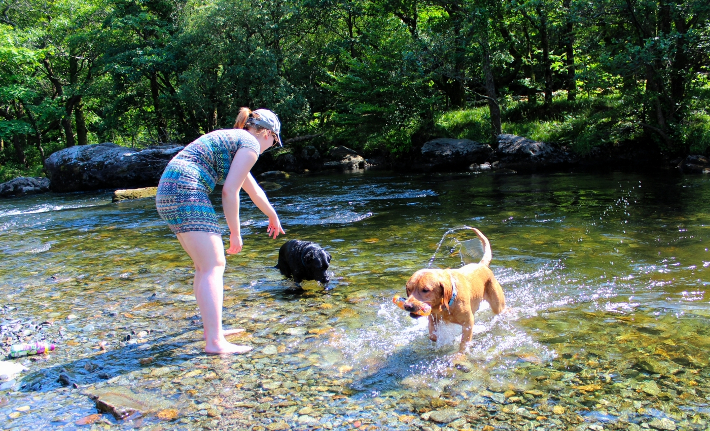 * Beddgelert - Afon Glaslyn - Aberglaslyn (by AJW) *
