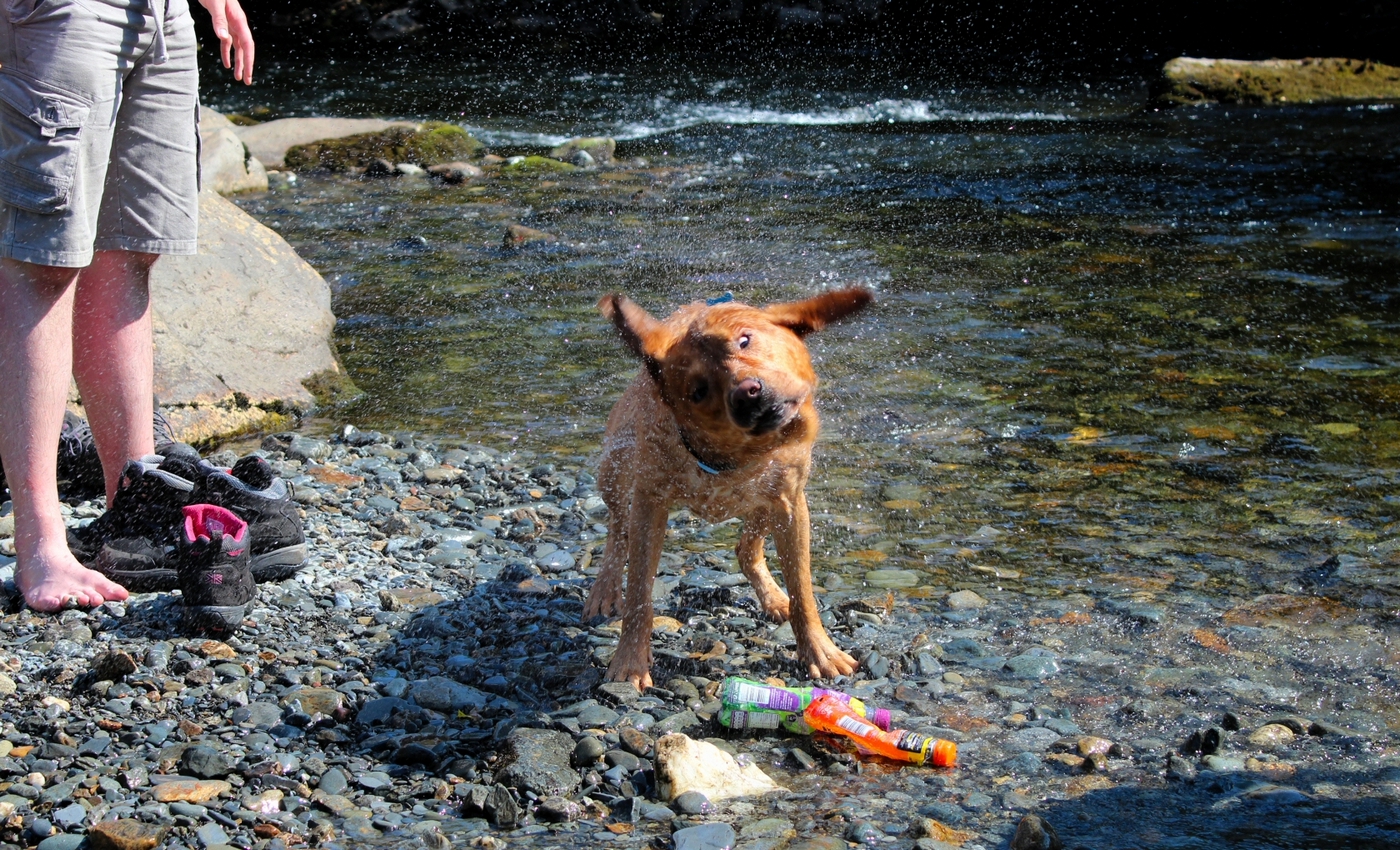 * Beddgelert - Afon Glaslyn - Aberglaslyn (by AJW) *