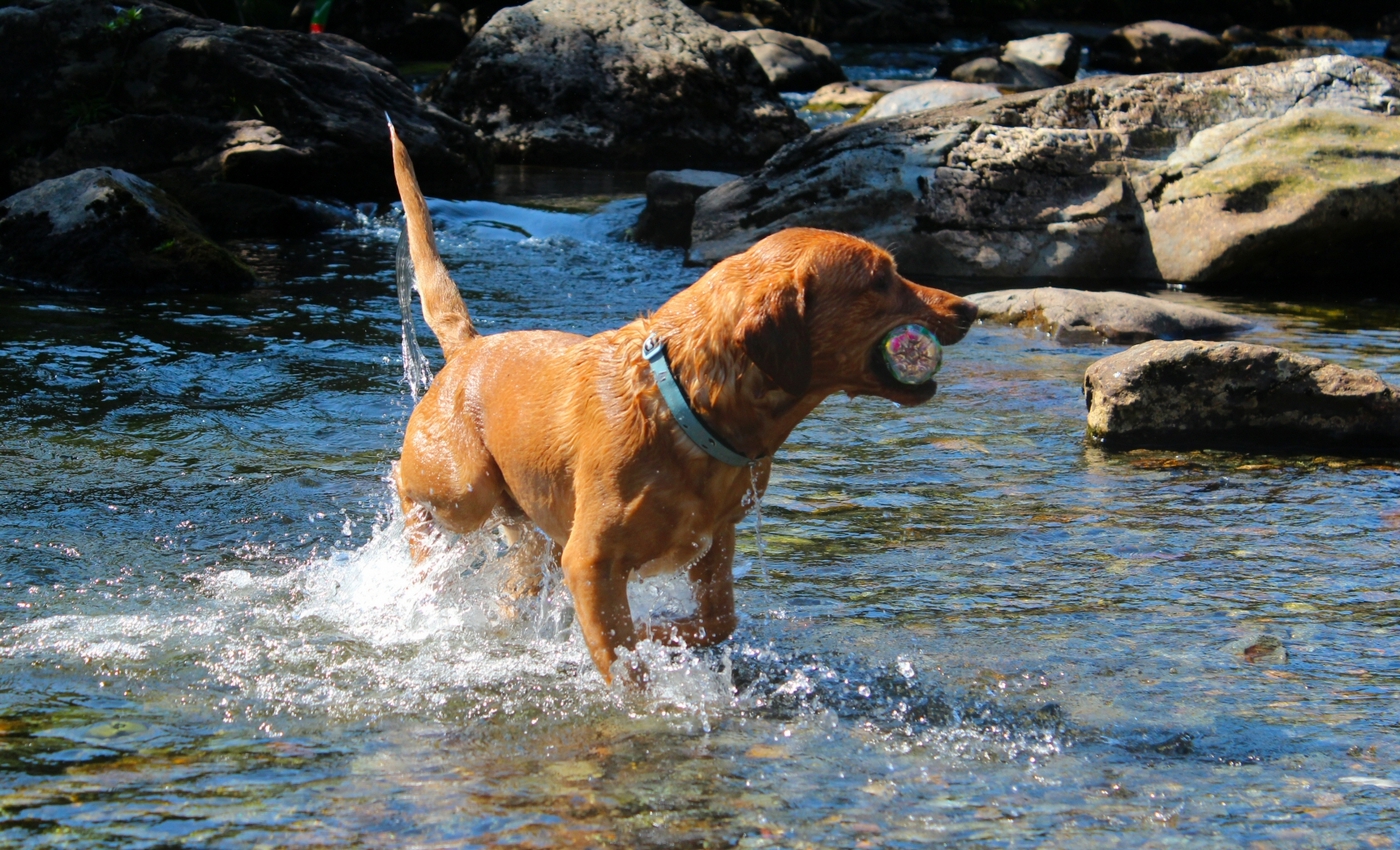 * Beddgelert - Afon Glaslyn - Aberglaslyn (by AJW) *