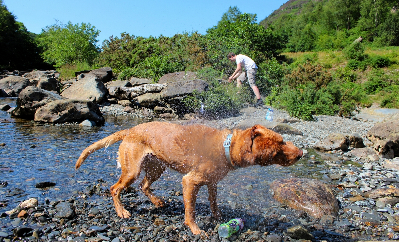 * Beddgelert - Afon Glaslyn - Aberglaslyn (by AJW) *
