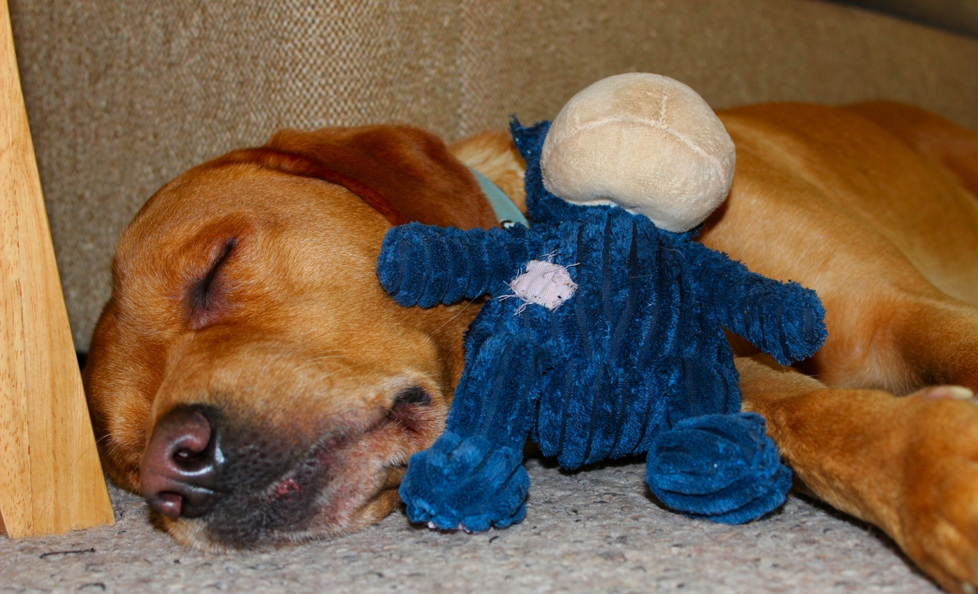 * Tynllwyn Caravan Park, Rhydyronen (by AJW) *