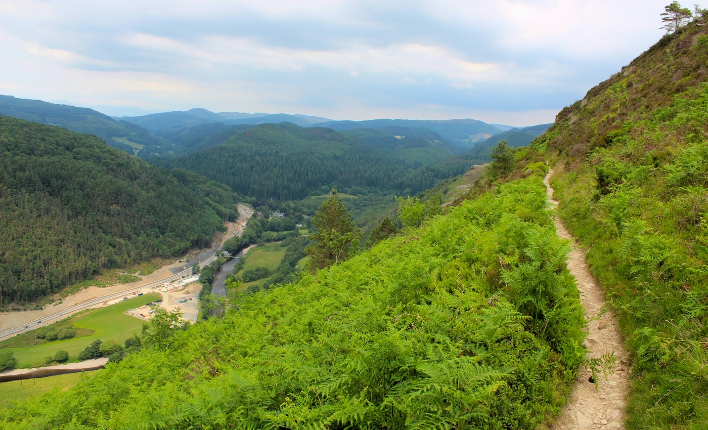 * Precipice Walk, Dolgellau (by AJW) *