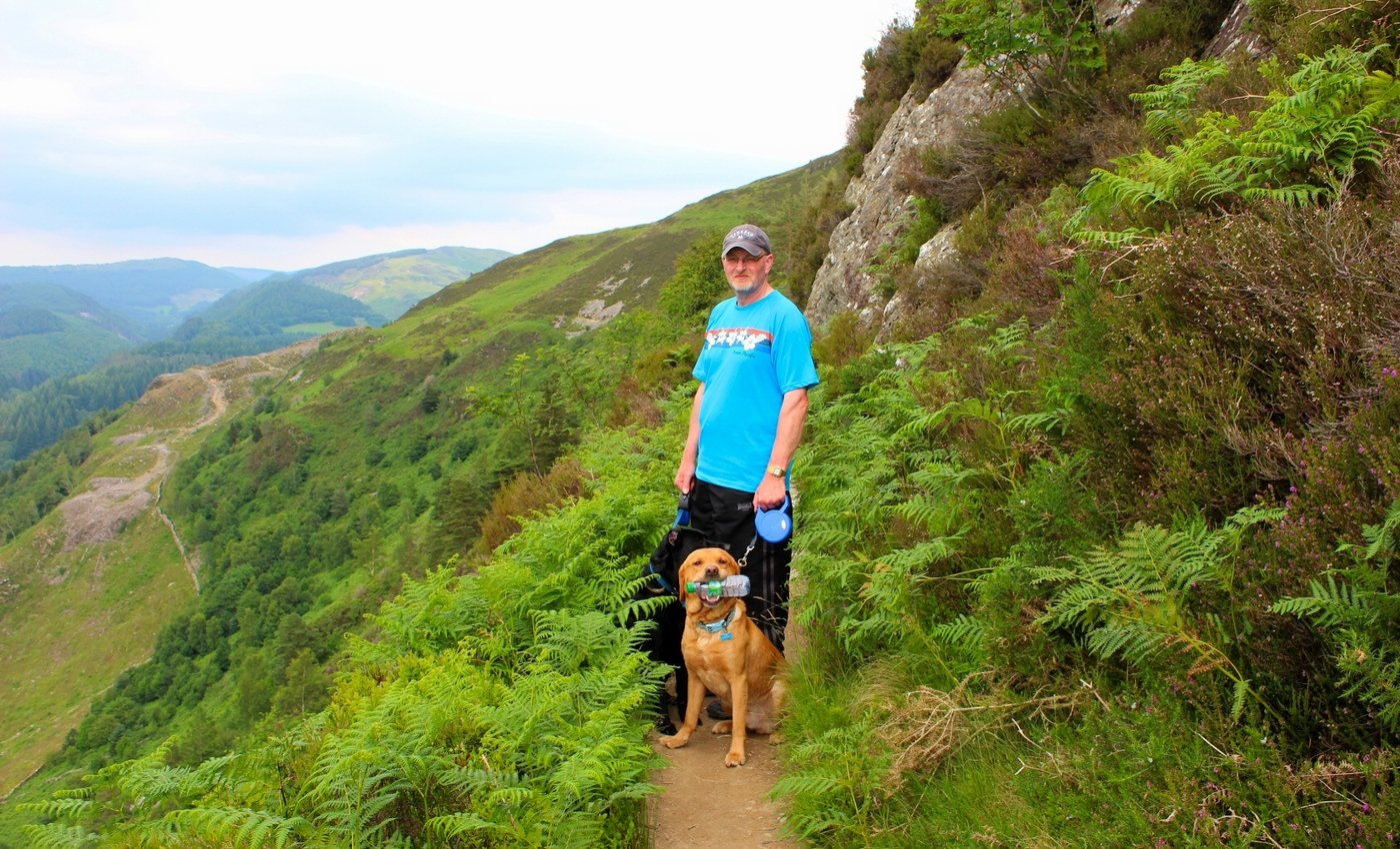 * Precipice Walk, Dolgellau (by AJW) *