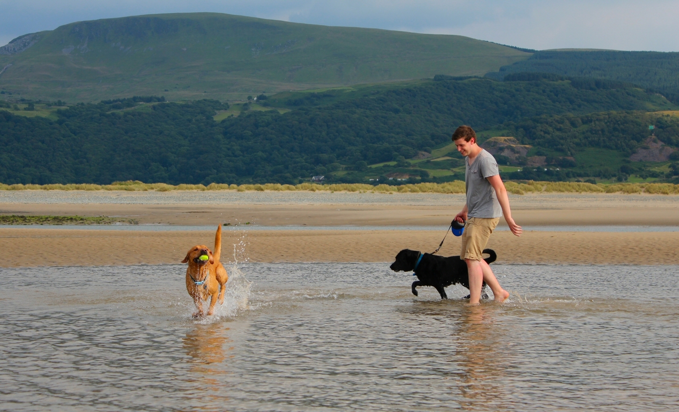 * Barmouth, Ynys-y-Brawd (by AJW) *