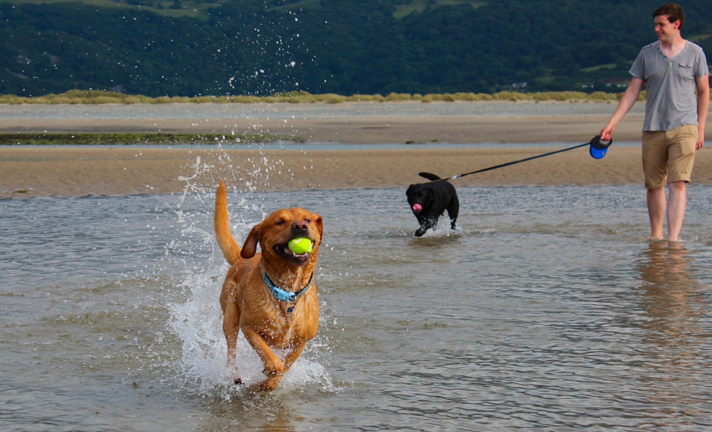 * Barmouth, Ynys-y-Brawd (by AJW) *