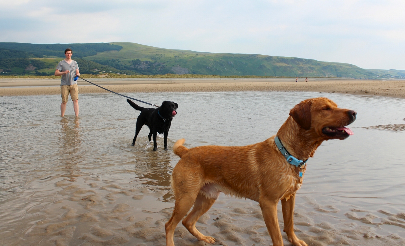 * Barmouth, Ynys-y-Brawd (by AJW) *
