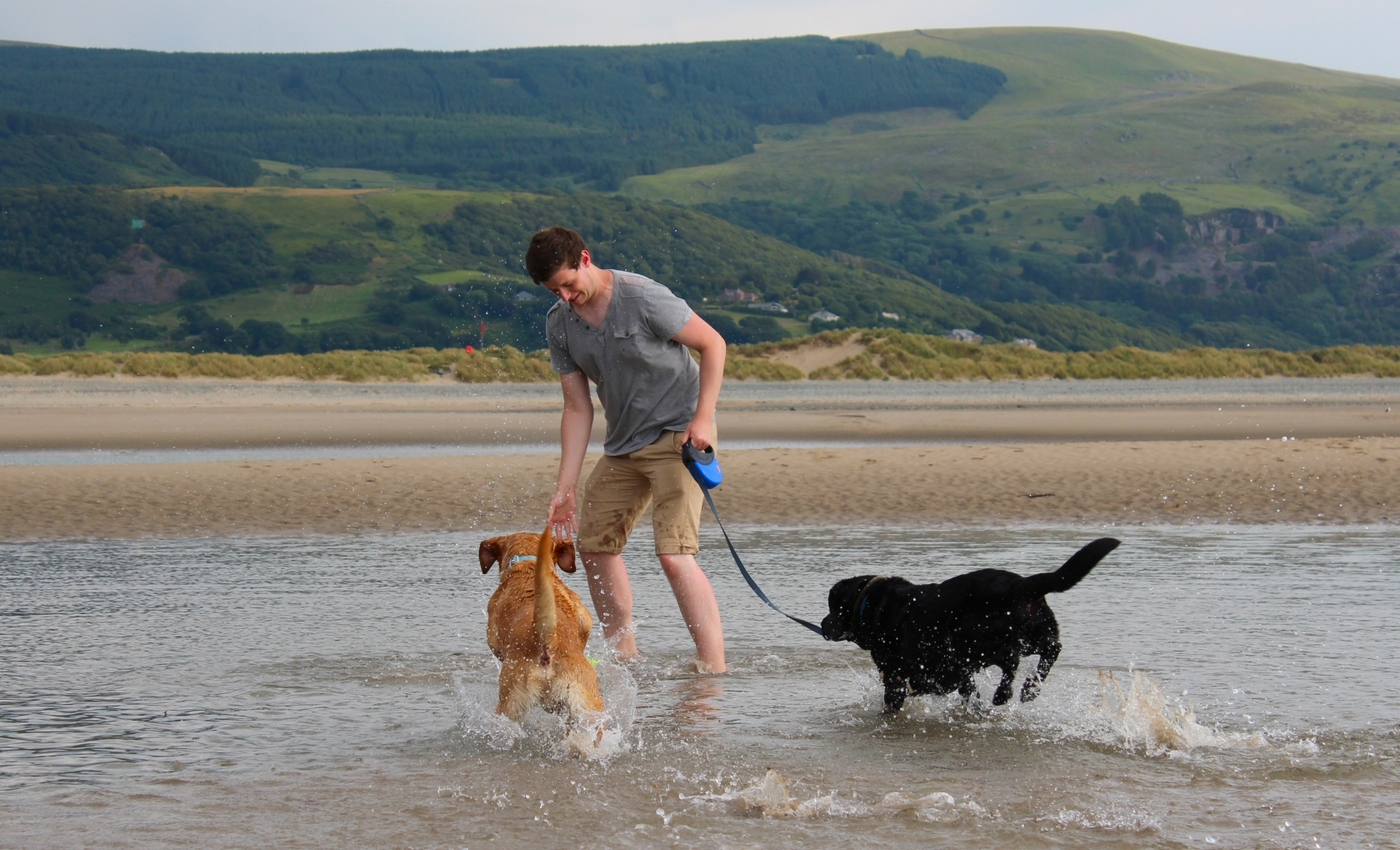 * Barmouth, Ynys-y-Brawd (by AJW) *