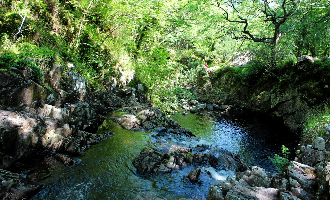* Rhaeadr Ddu, Coed Ganllwyd (by AJW) *