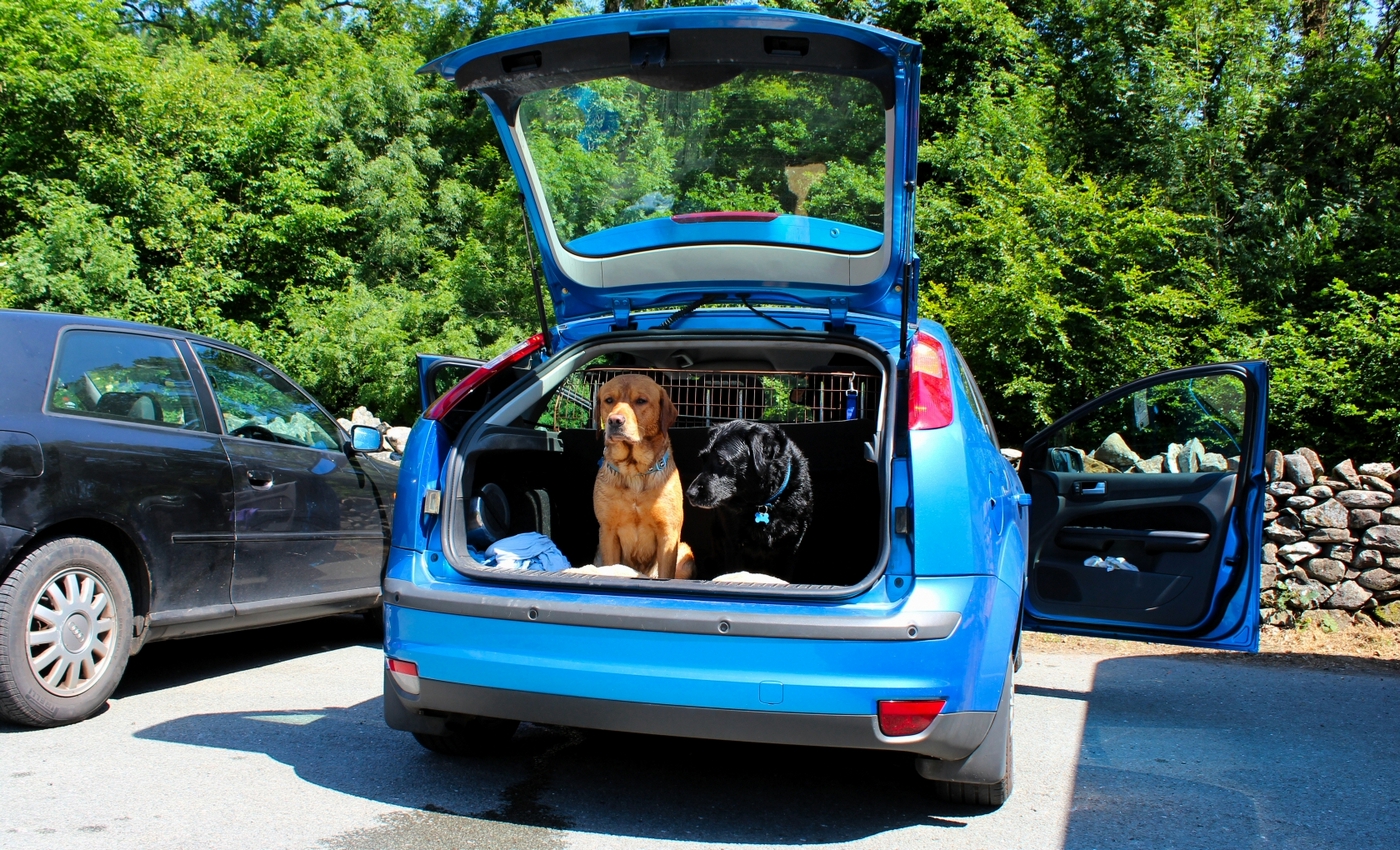 * Ganllwyd (by AJW) *