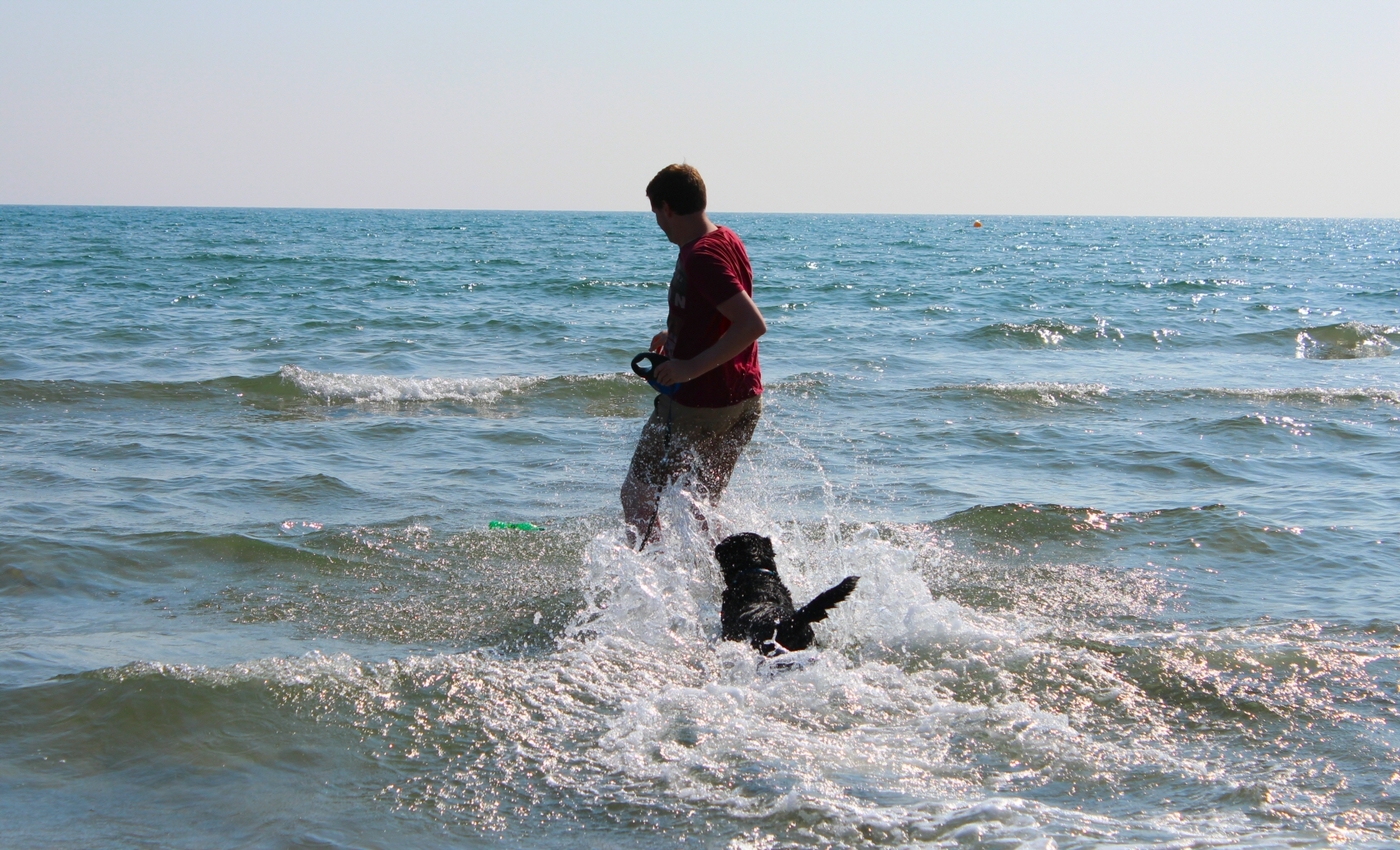 * Black Rock Sands, Traeth Morfa Bychan, Craig Ddu, Porthmadog (by AJW) *