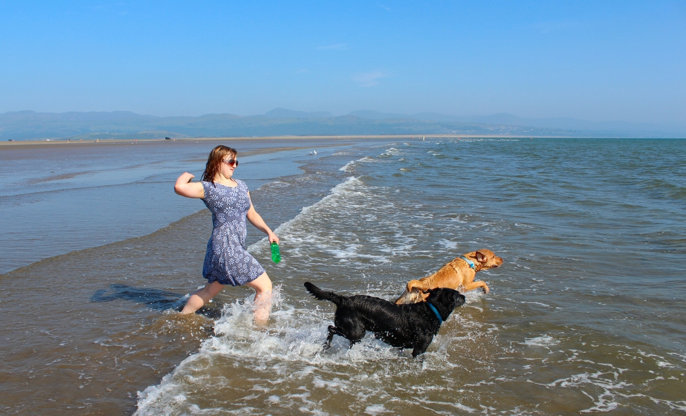 * Black Rock Sands, Traeth Morfa Bychan, Craig Ddu, Porthmadog (by AJW) *
