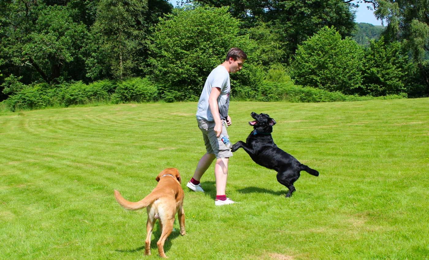* Caen y Coed, Betws-y-Coed (by AJW) *
