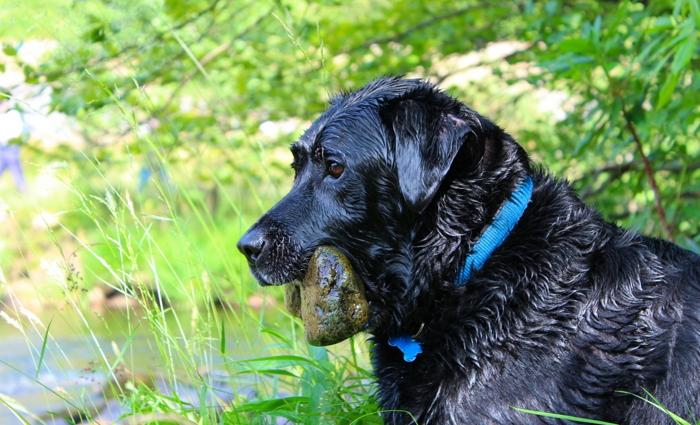 * Aberglaslyn (by AJW) *
