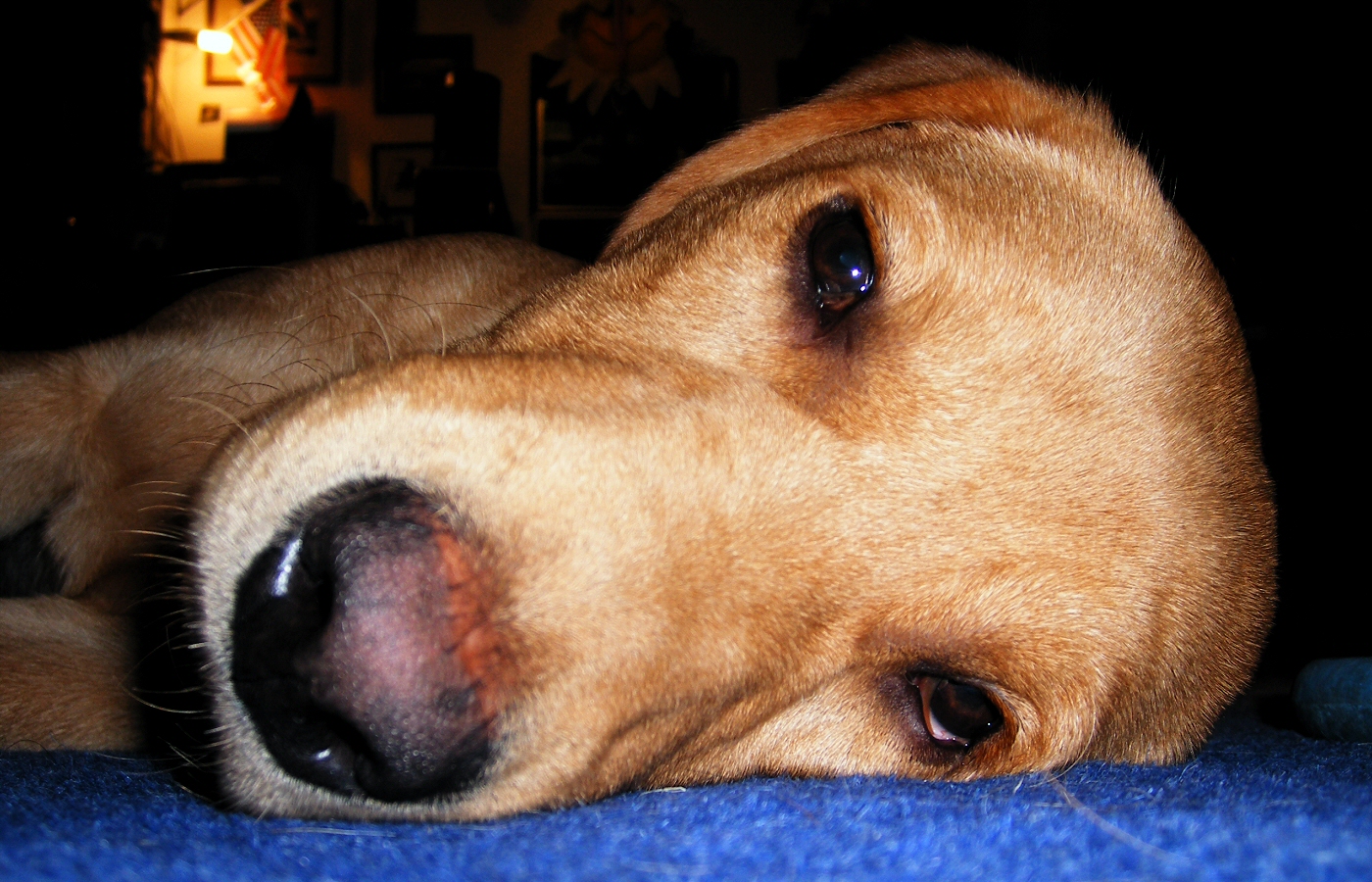 * Harvey and Murphy (by AJW) *