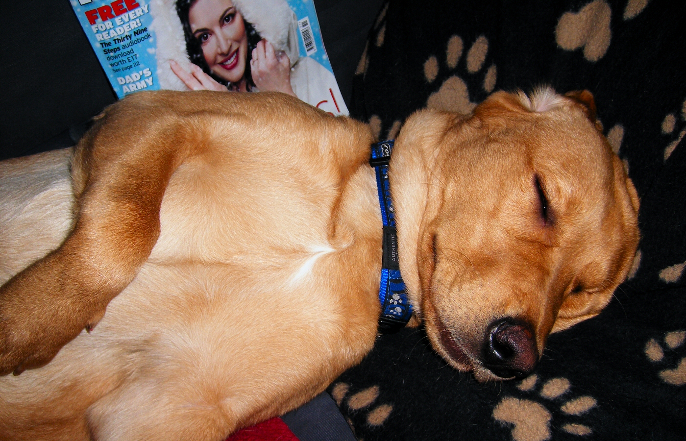 * Harvey and Murphy (by AJW) *