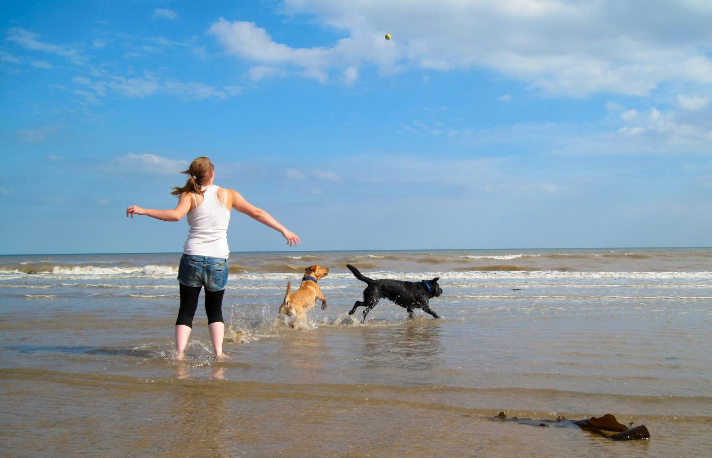 * Harvey and Murphy (by AJW) *