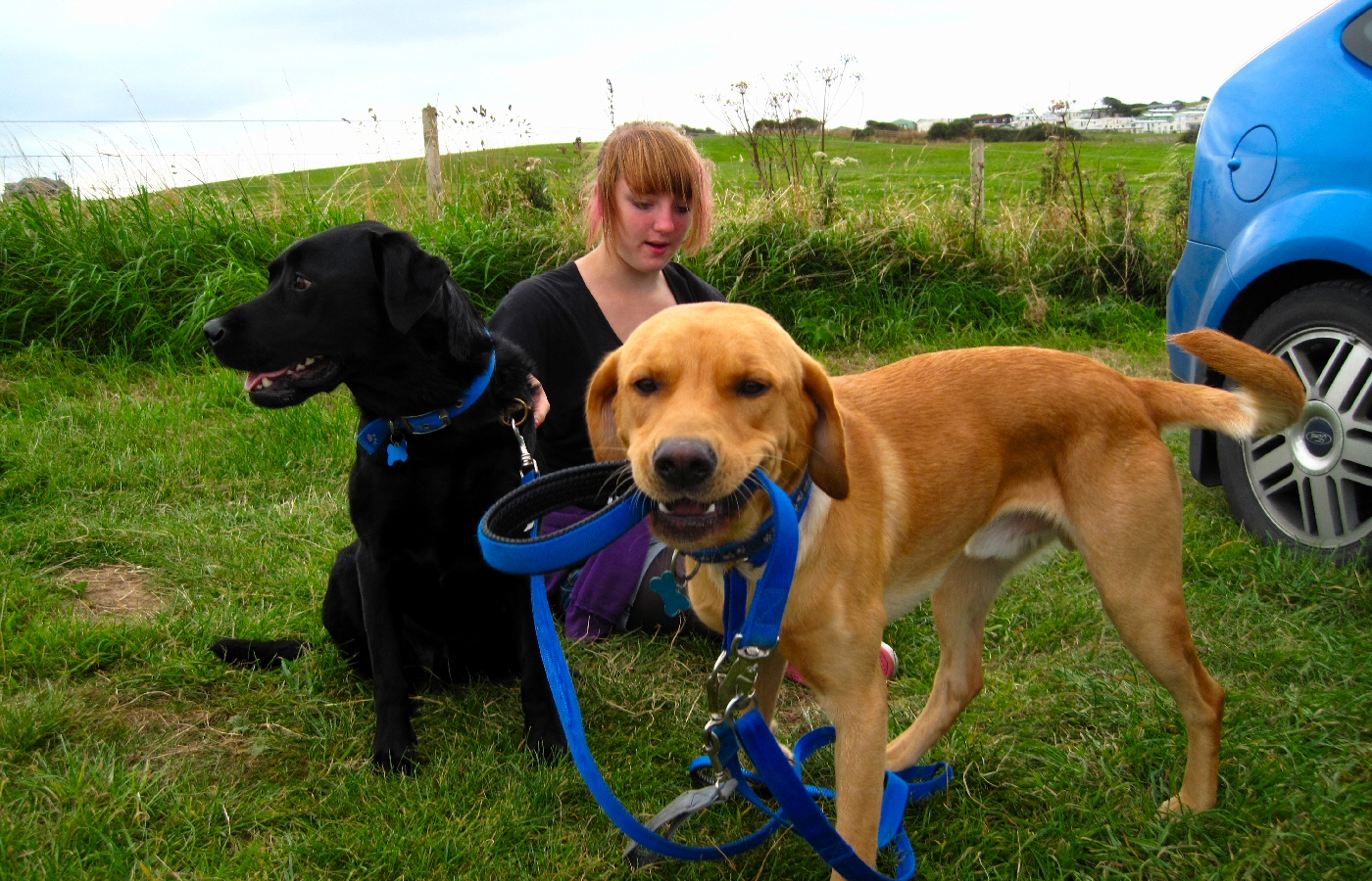 * Harvey and Murphy (by AJW) *