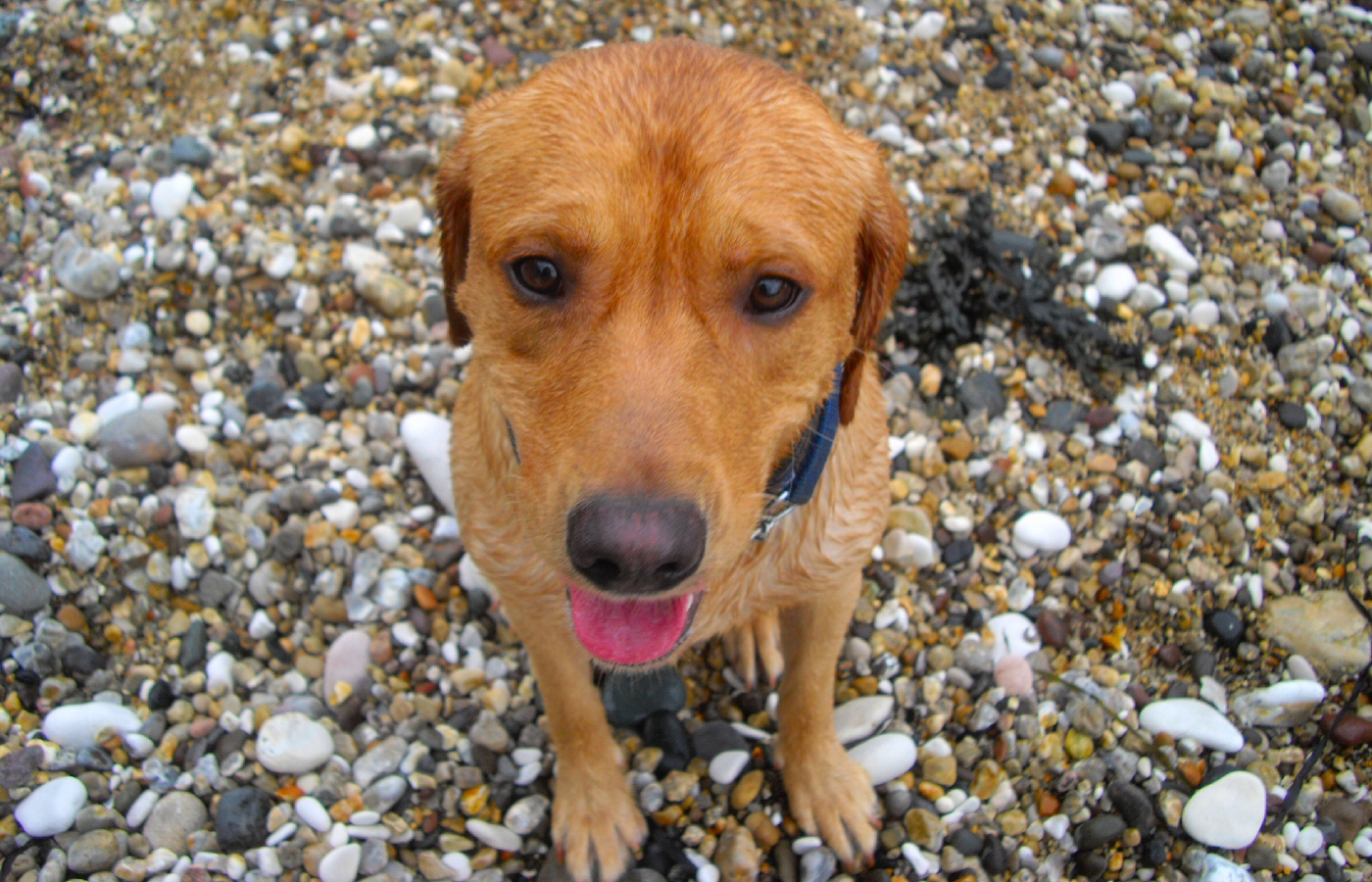 * Harvey and Murphy (by AJW) *