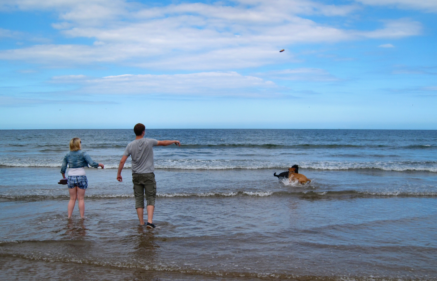 * Harvey and Murphy (by AJW) *