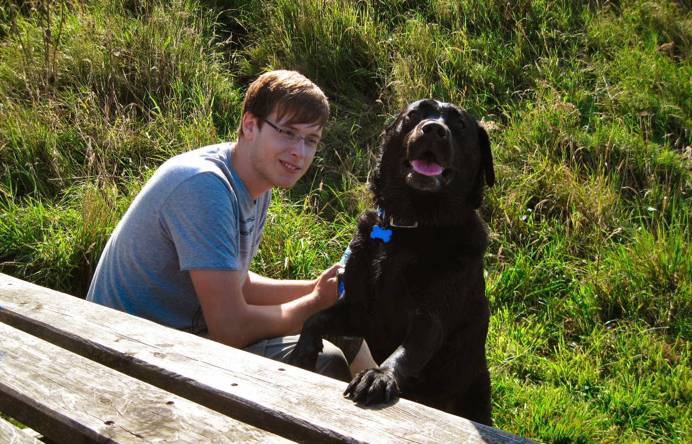 * Harvey and Murphy (by AJW) *