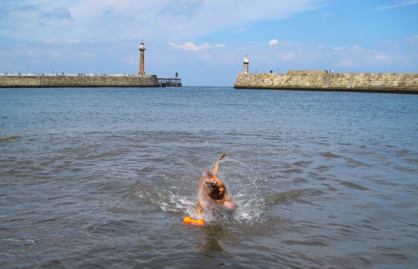 * Harvey and Murphy (by AJW) *