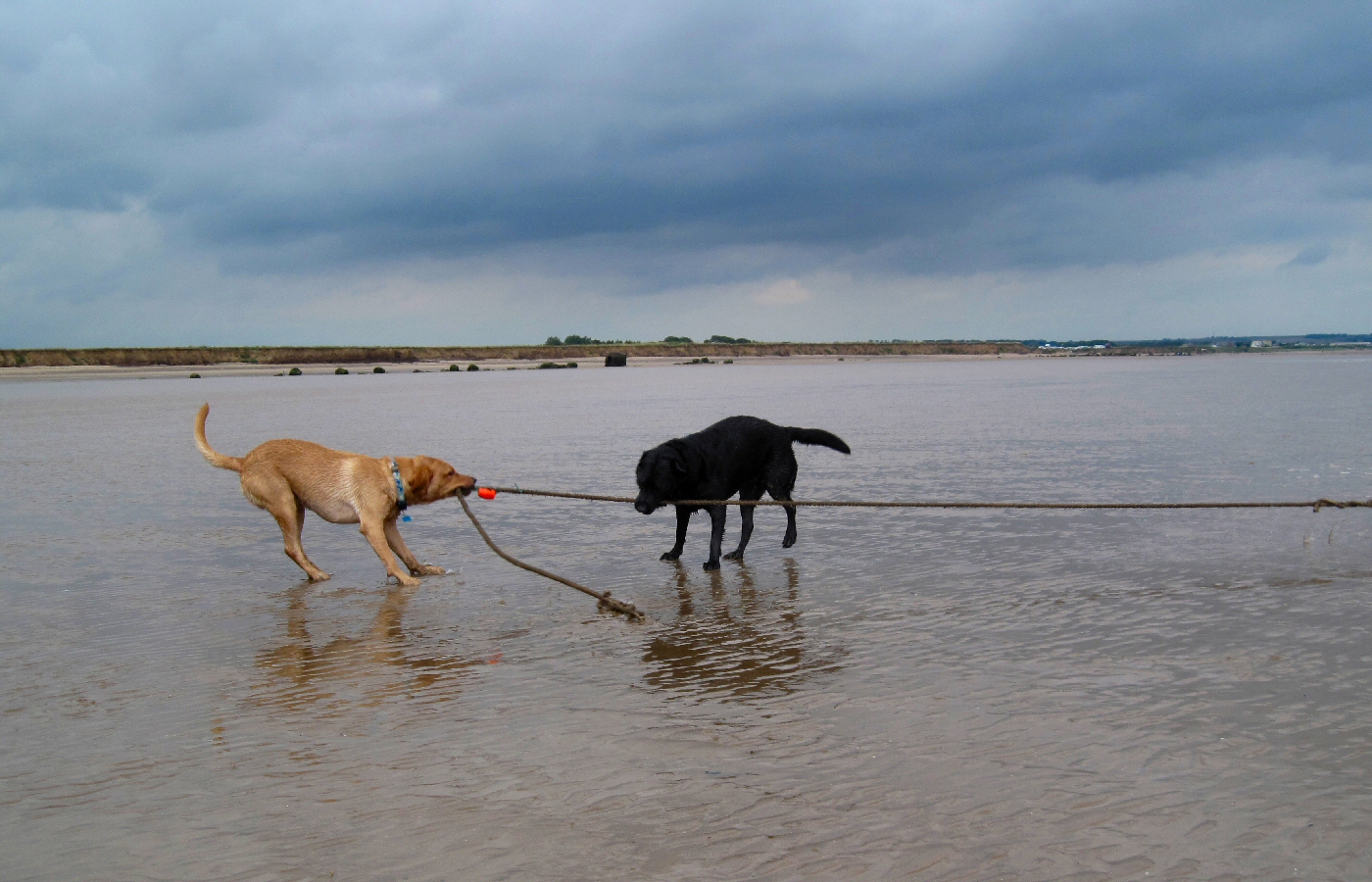 * Harvey and Murphy (by AJW) *