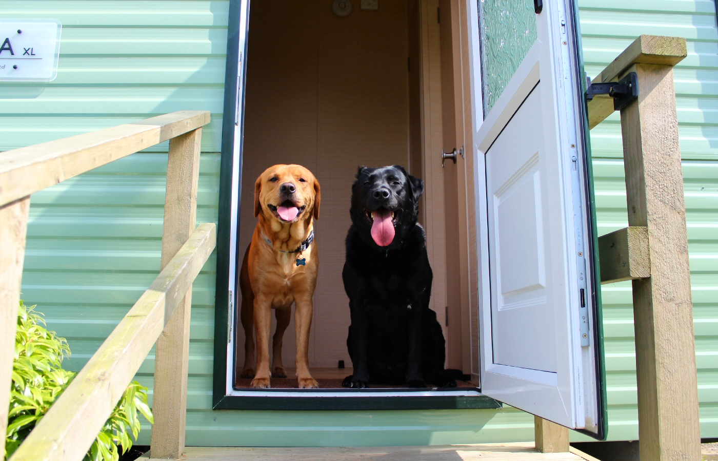 * Harvey and Murphy (by AJW) *