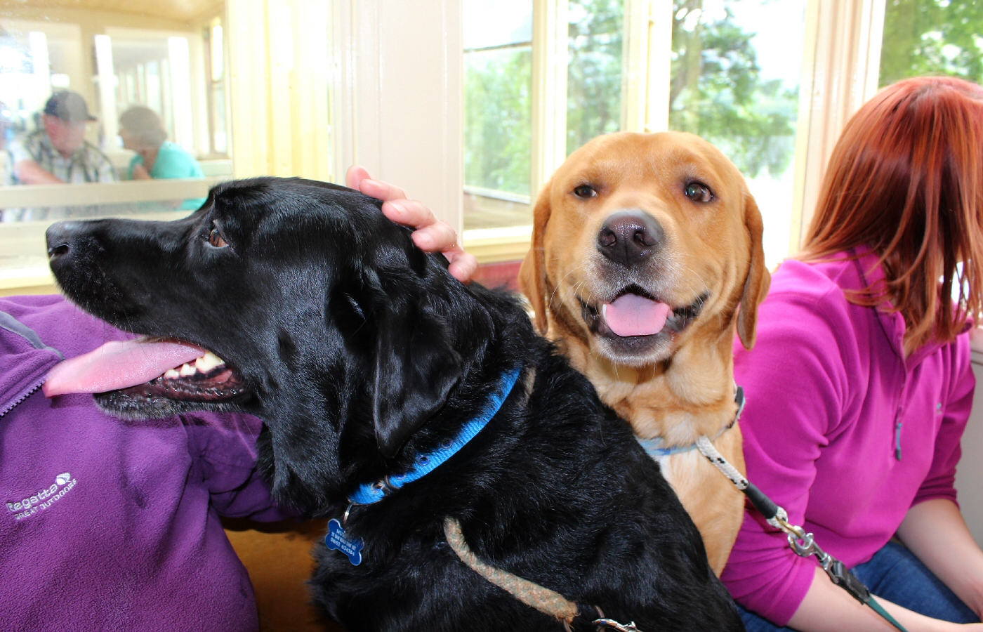 * Harvey and Murphy (by AJW) *