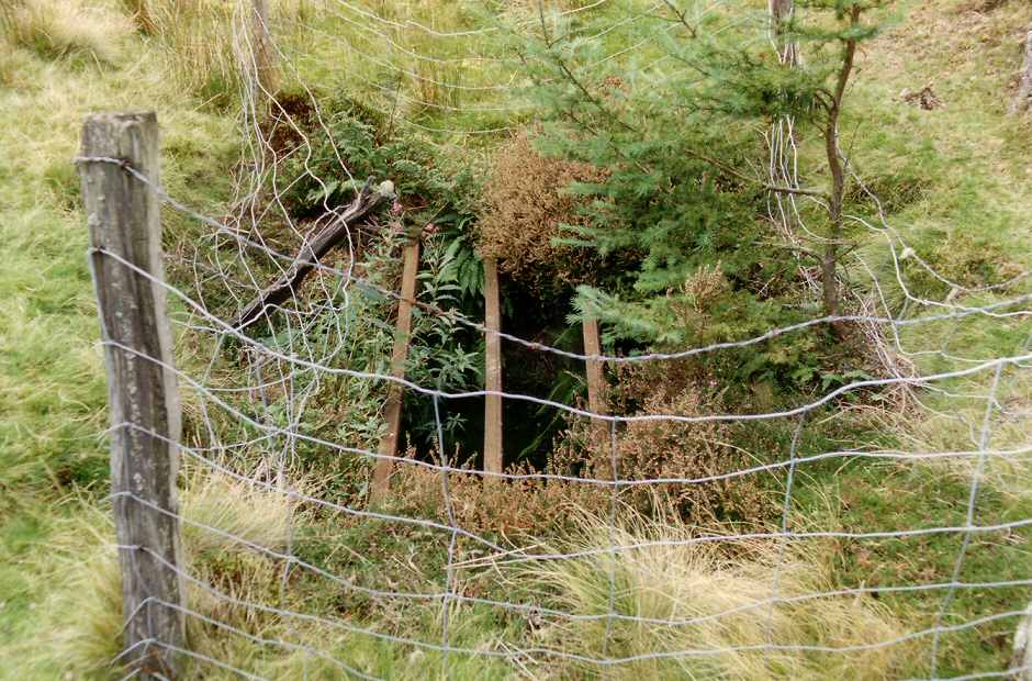 * [Pic 4] Minllyn Quarry - Chamber roof opening (1989) *